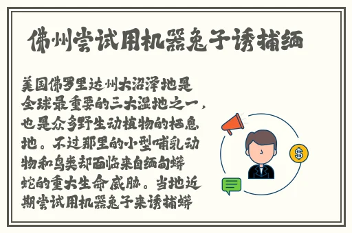 宝宝你好会夹
